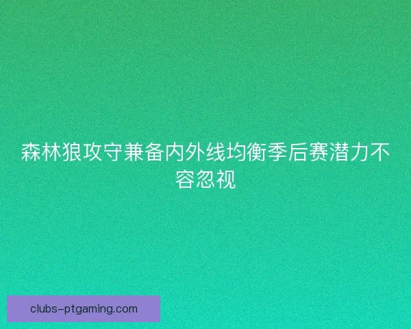 森林狼攻守兼备内外线均衡季后赛潜力不容忽视